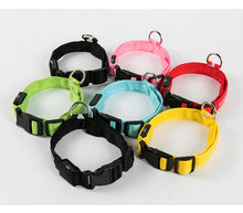 Lade das Bild in den Galerie-Viewer, Leuchthalsband für Hunde, wiederaufladbares LED Halsband, Haustierhalsband, LED-Licht für Haustiere
