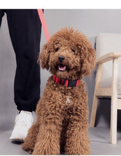 Lade das Bild in den Galerie-Viewer, Leuchthalsband für Hunde, wiederaufladbares LED Halsband, Haustierhalsband, LED-Licht für Haustiere
