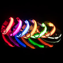 Lade das Bild in den Galerie-Viewer, Leuchthalsband für Hunde, wiederaufladbares LED Halsband, Haustierhalsband, LED-Licht für Haustiere
