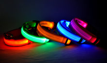 Lade das Bild in den Galerie-Viewer, Leuchthalsband für Hunde, wiederaufladbares LED Halsband, Haustierhalsband, LED-Licht für Haustiere
