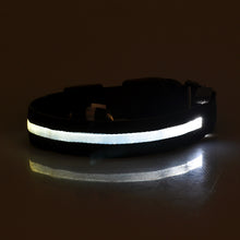 Lade das Bild in den Galerie-Viewer, Leuchthalsband für Hunde, wiederaufladbares LED Halsband, Haustierhalsband, LED-Licht für Haustiere
