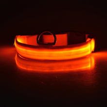 Lade das Bild in den Galerie-Viewer, Leuchthalsband für Hunde, wiederaufladbares LED Halsband, Haustierhalsband, LED-Licht für Haustiere
