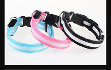 Lade das Bild in den Galerie-Viewer, Leuchthalsband für Hunde, wiederaufladbares LED Halsband, Haustierhalsband, LED-Licht für Haustiere
