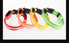 Lade das Bild in den Galerie-Viewer, Leuchthalsband für Hunde, wiederaufladbares LED Halsband, Haustierhalsband, LED-Licht für Haustiere
