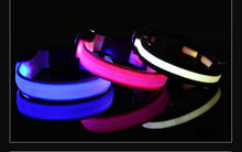 Lade das Bild in den Galerie-Viewer, Leuchthalsband für Hunde, wiederaufladbares LED Halsband, Haustierhalsband, LED-Licht für Haustiere
