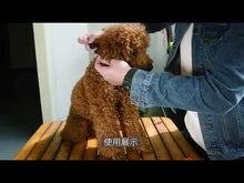 Laden und Abspielen von Videos im Galerie-Viewer, Leuchthalsband für Hunde, wiederaufladbares LED Halsband, Haustierhalsband, LED-Licht für Haustiere
